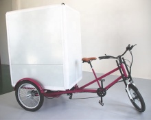Three-Wheel Electric Cargo Trike for Groceries and Parcels Delivery
