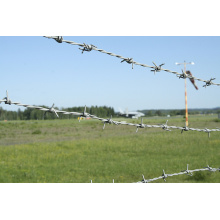 Galvanized Iron Barbed Wire for Fence