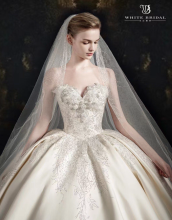 New Winter Toast Wedding Dresses