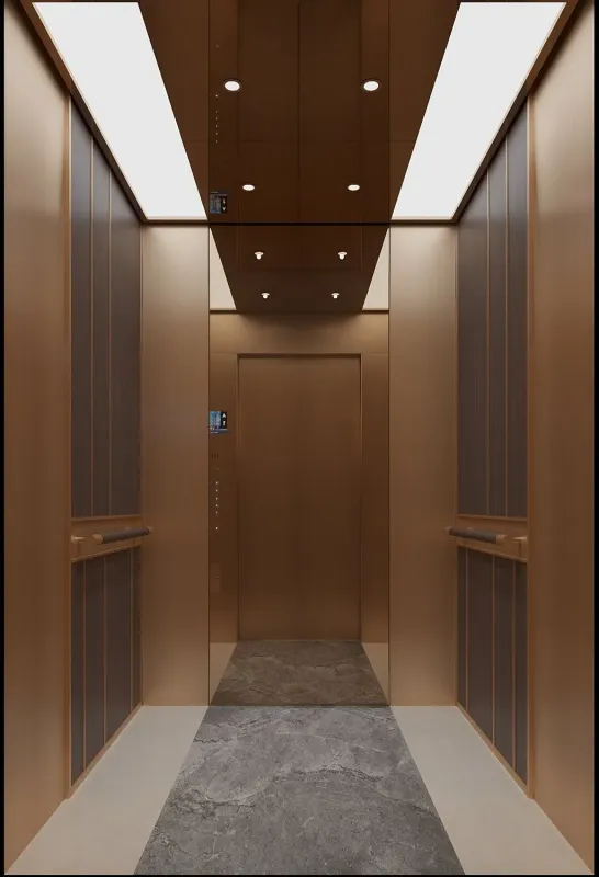 Luxury Cheap Passenger Elevator with High-Speed VVVF for Small Machine Rooms