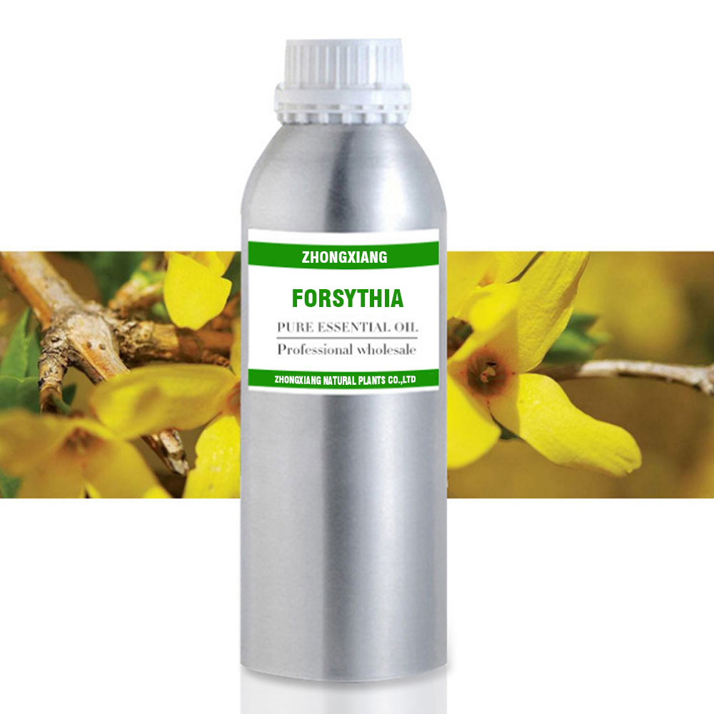 100% pure natural weeping forsythia essential oil wholesale