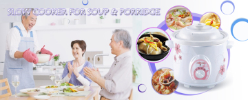 Chines Electric Stewing Cooker DDG-25C with Ceramic Pot and Lid