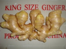 Different Sizes Of Air-dired Ginger In Different Packagings