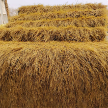 Yellow Synthetic PP Thatch Grass for Outdoor Gardens and Patios