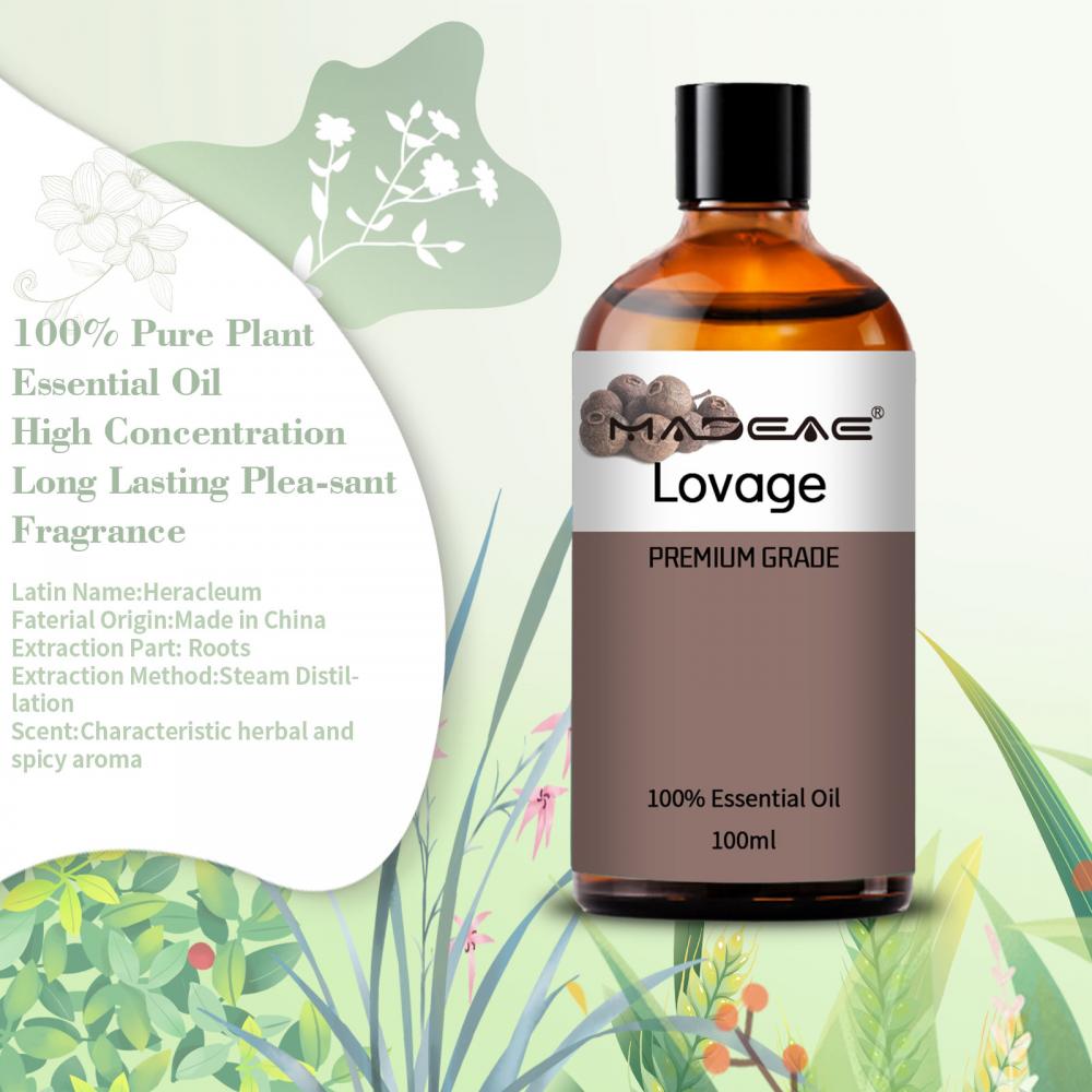 Nouvelle arrivée huile de racine de Lovage 100% pure et organique avec logo et étiquette privés