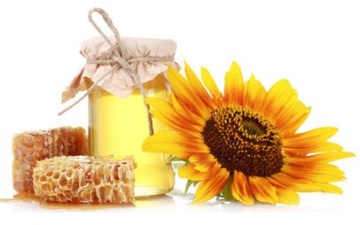 wholesale bulk packaging organic sunflower honey