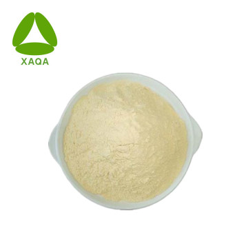 Retinyl Palmitate Powder CAS No 79-81-2