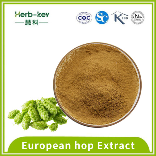 Contains flavone 10:1 European hop Extract powder