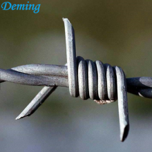 Barbed Wire Used As Barrier Protact For Lawn