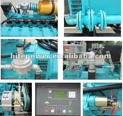 Water cooled electric start 10-500kw wood pellets generator