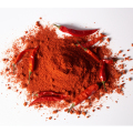 Spices à base de plantes Red Chilli Paprika Pfeffer Pulver