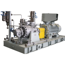 Energy-saving Renovations: Crude Steam Oil Pumps for Naphtha & Diesel Oil Applications