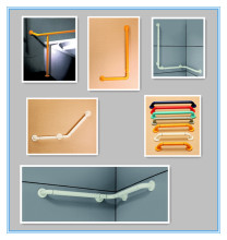 Toilet Disabled Grab Bar