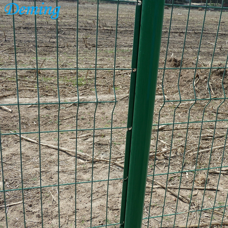 Coated Curving Wire mesh Security 3d Fencing Panels For School