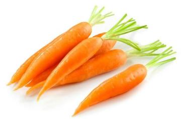 Top Quality Fresh Carrot