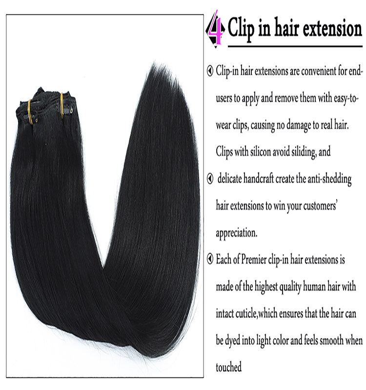 XCCOCO 100% Russian Human Remy Clip On Hair Extensions Wholesale Natural Seamless Indian Clip In Hair Extension