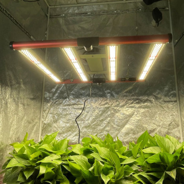 Aglex 240W เติบโตแสงสำหรับ Canabis ในร่มเติบโต