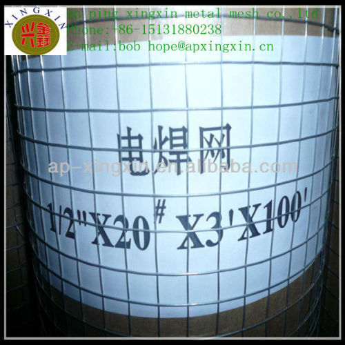 Stainless Steel,Galvanized&PVC coated welded wire mesh