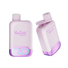 Vapsolo Twins 20000 Electronic Cigarette Disposable On Sale