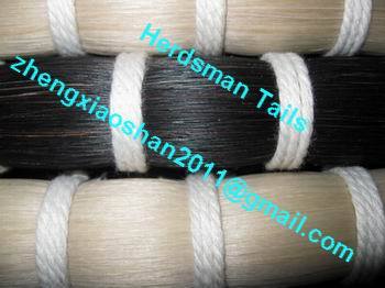 High quality horse hair / tail hairs / horse hair extension / horse tail hairs / bow hairs supplier