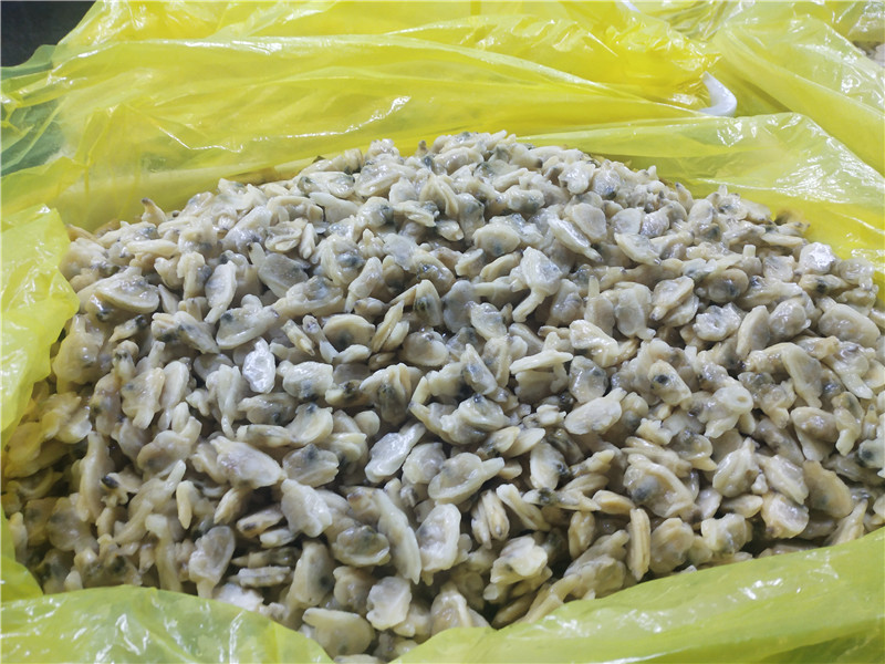 Mięso małży w skorupiakach