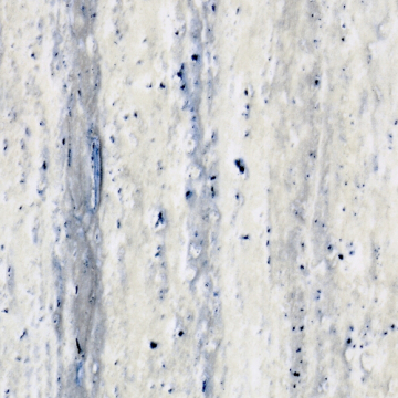 Best Bathroom Ideas for you