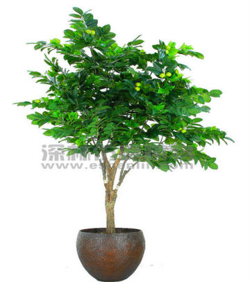 hot sale chinese apple tree,artificial apple tree,apple fruit tree