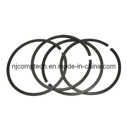 Piston Rings for Industrial Valve From China