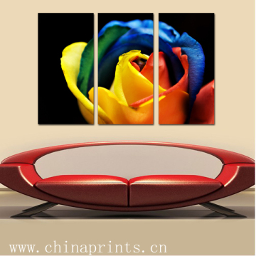 Split Image Canvas Prints (SJMD3531)