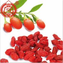 De gedroogde rode Goji-bessen Fruit