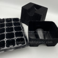 Black seedling PS tray wine tray