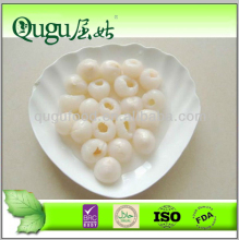 wholesale lychee canned