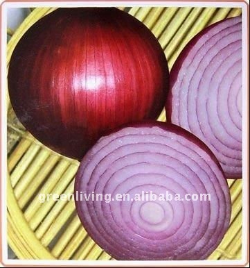 new fresh red onion