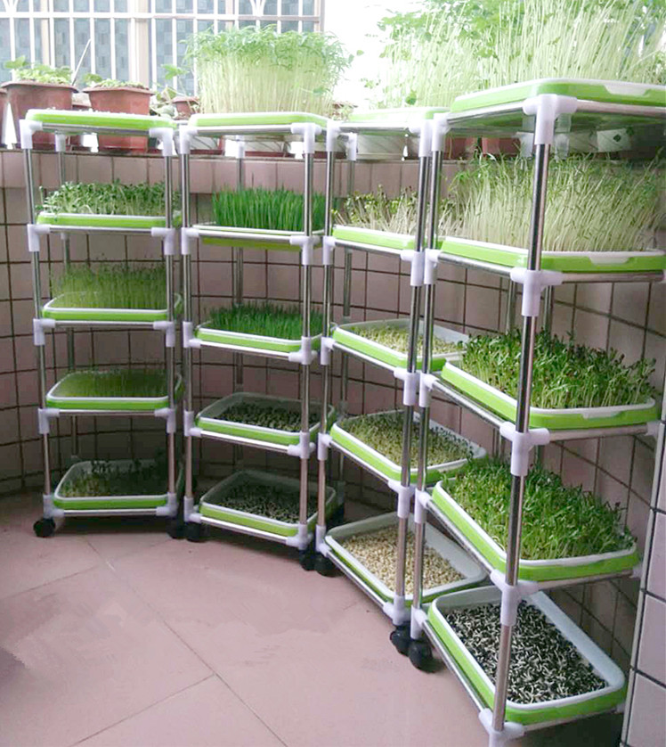 Indoor seedling frame with seedling trays