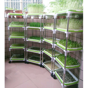 Indoor seedling frame with seedling trays