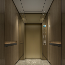 FUJI Passenger Residential Elevator Prices for Construction and Building Projects