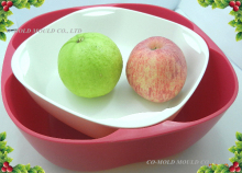 Injection Mould for Household Storage Containers