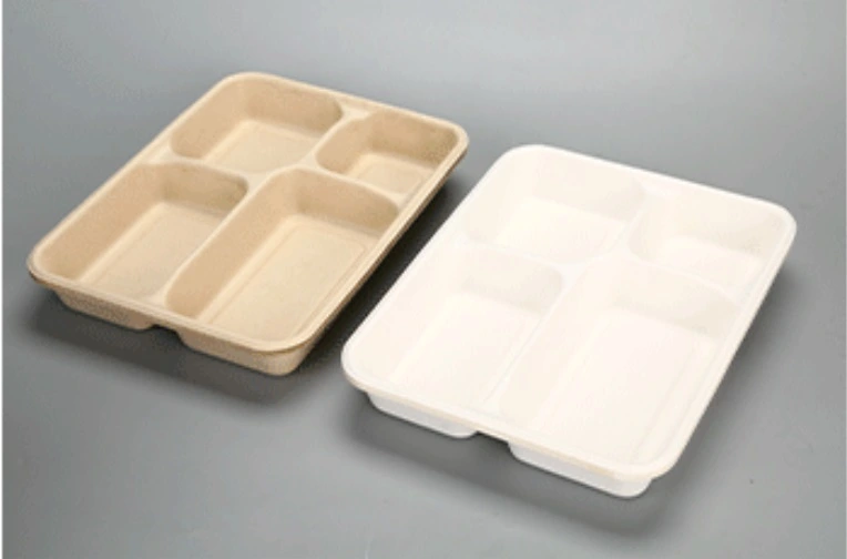 Biodegradable Composable Sugarcane Bagasse Lunch Trays