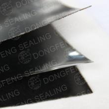 reinforced graphite sheet with flat metal insert