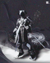 Entering The Tiger Forest