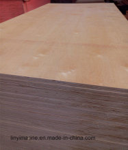 2.7mm-21mm Natural Birch Plywood Timber