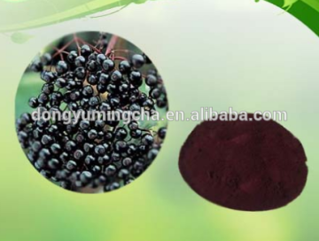 Organic Black Fruit Currant Extract Powder