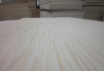 Radition Pine Plywood
