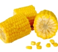 2019 nowa uprawa słodkiej kukurydzy w dobrej cenie