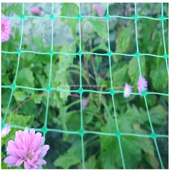 Jardin filet anti-oiseaux en plastique carré en maille