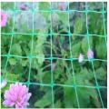 Garden Plastic Square Mesh Anti Bird Net