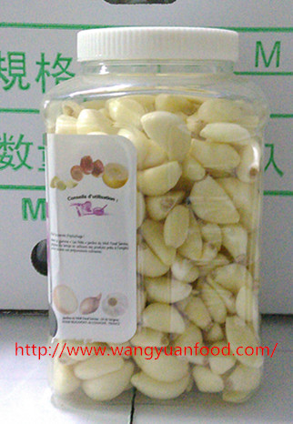 PET Garlic for European and American Countries PET Garlic for European and American Countries