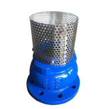 BS PN16 Ductile Iron Foot Valve Flange for Pump