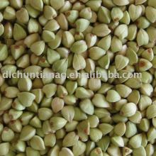 organic buckwheat kernel