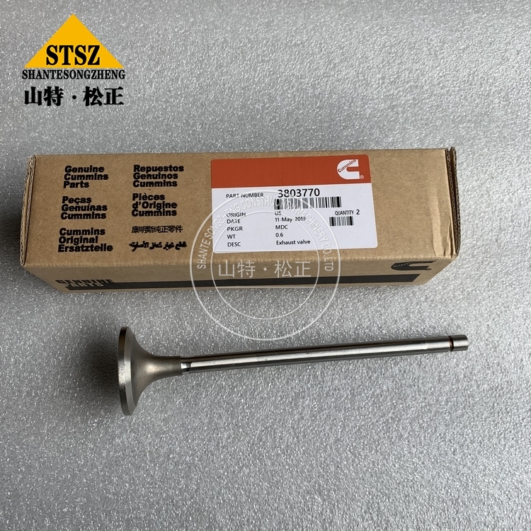 3803770 2 Jpg 3803770 2 Jpg